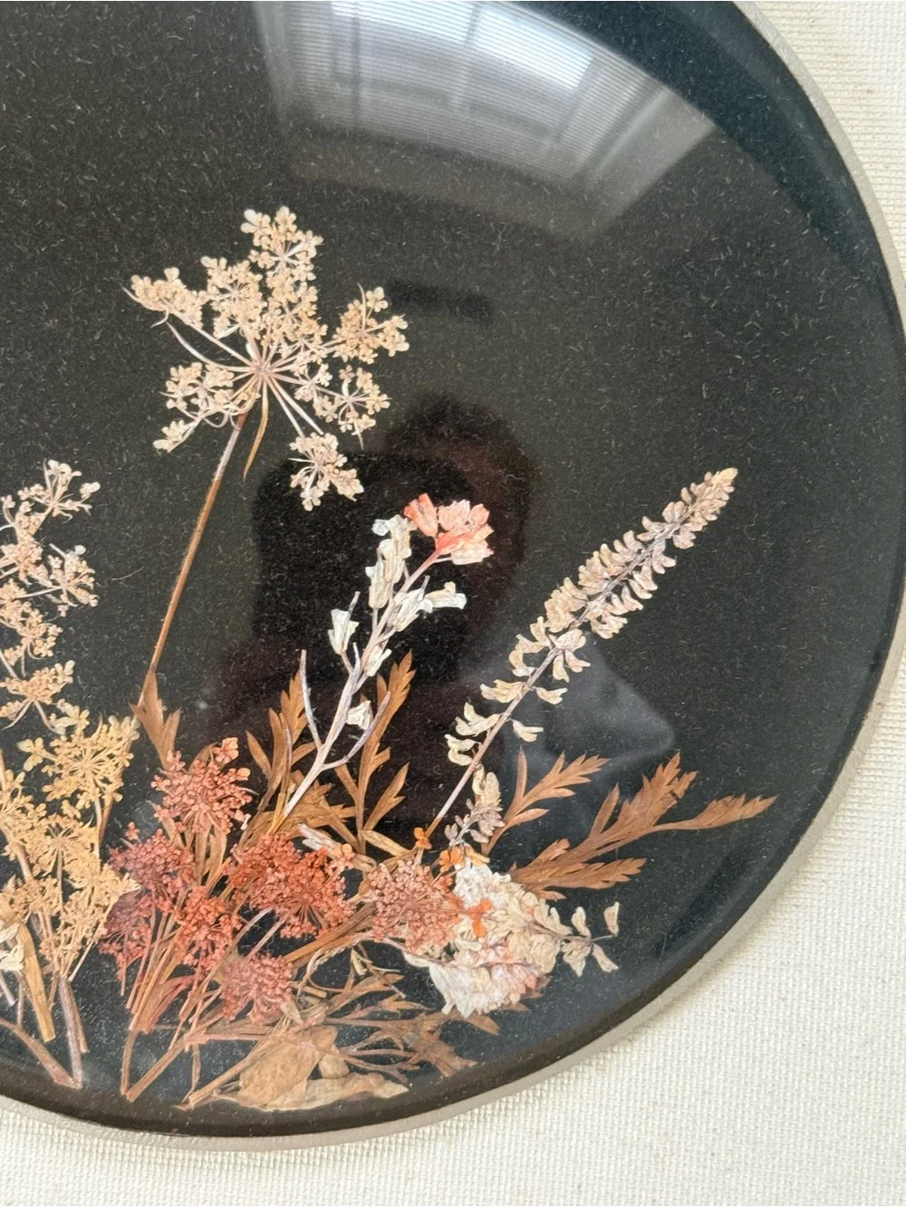 MCM Mid Century Modern Pressed Dried Wildflower Wall Plaque